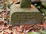image of grave number 152630